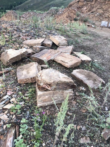 Плитняк кора дерева 50-100мм для пошаговых дорожек купить в Оренбурге